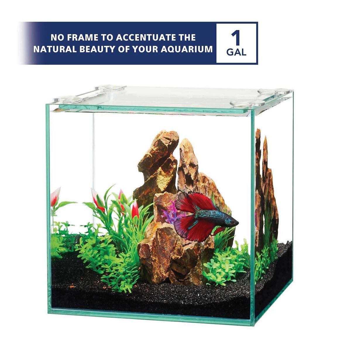 Frameless Cube Aquarium G434814
