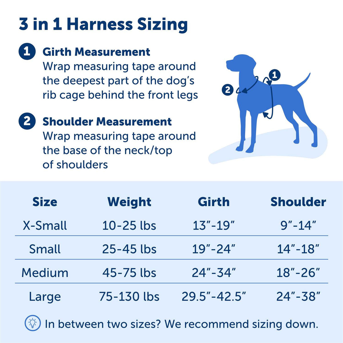 3 in 1 Harness I27500
