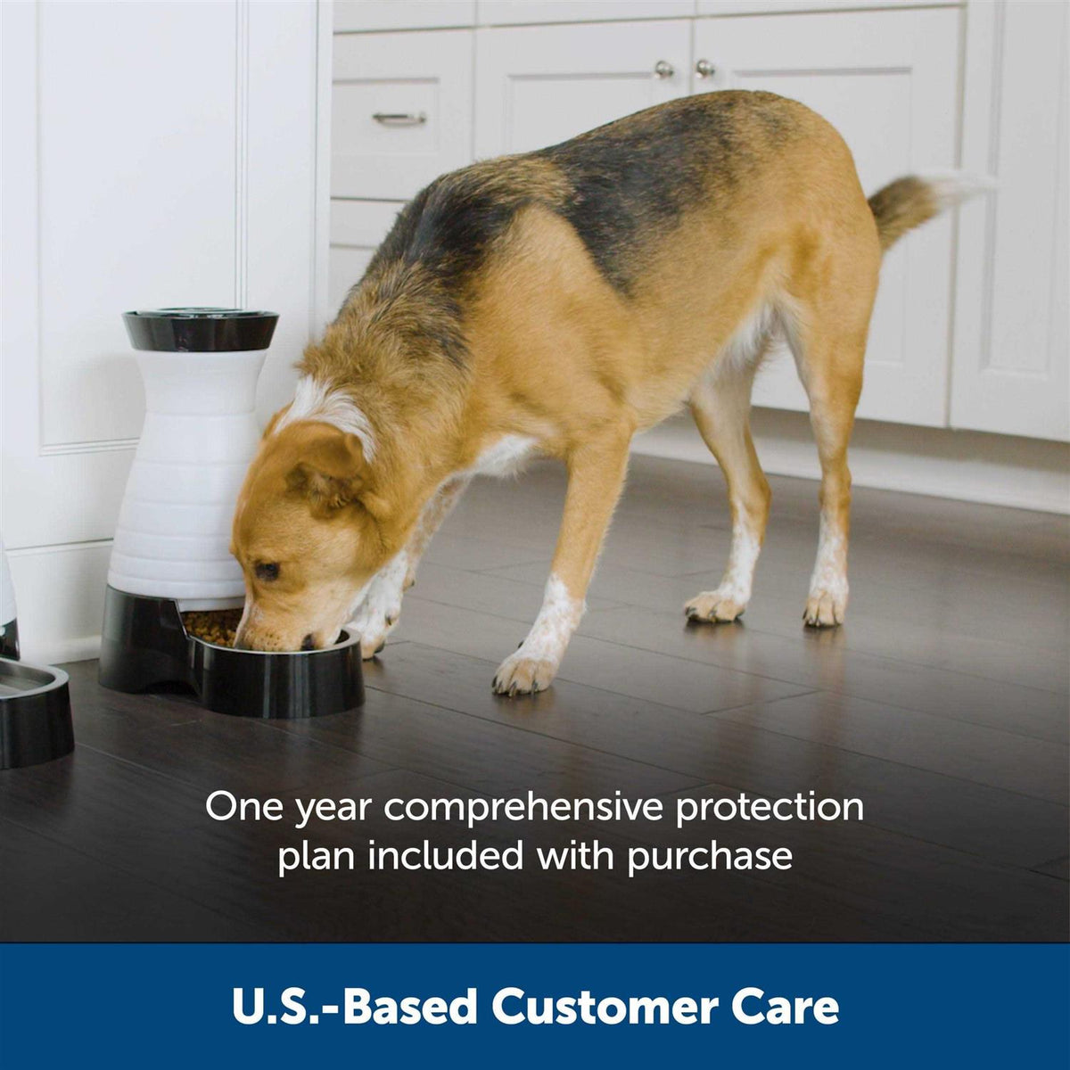 Healthy Pet Food Station Y95405