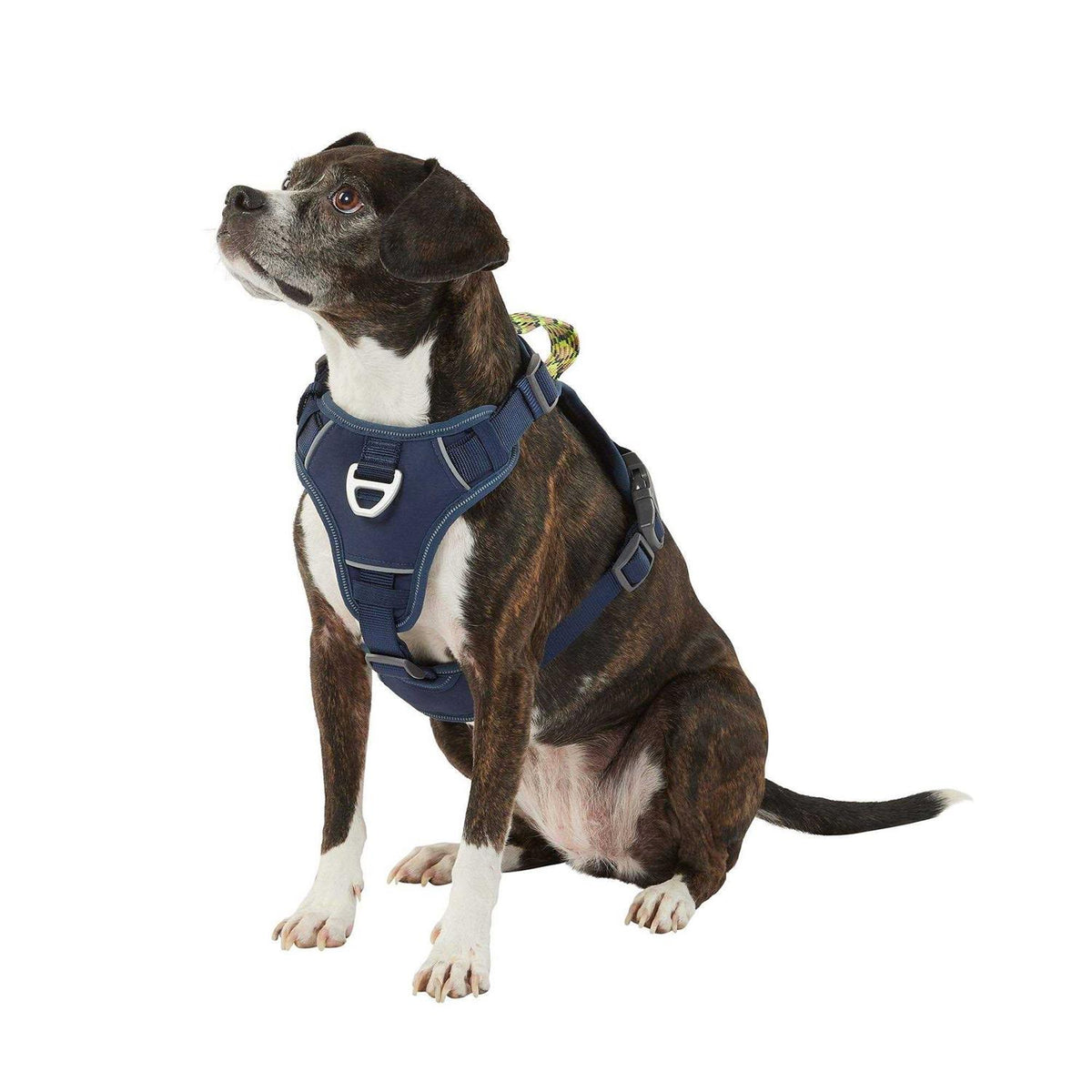 Navy Quick-Dry Dog Harness L355