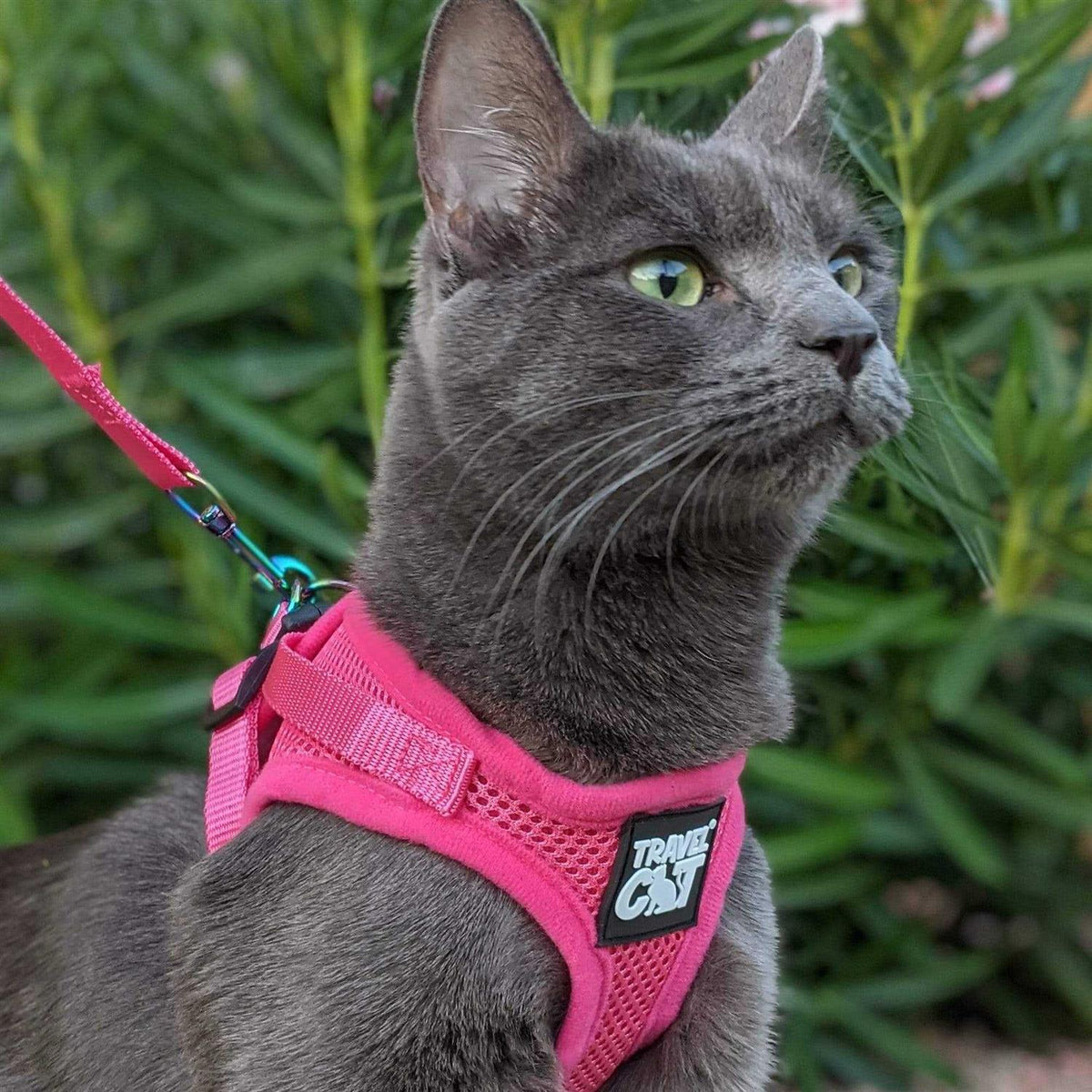 Reflective Cat & Kitten Harness and Leash J8872