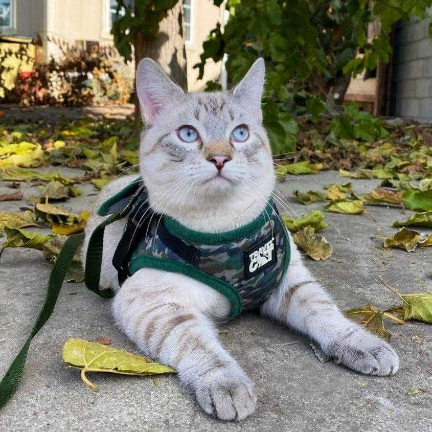 Reflective Cat & Kitten Harness and Leash J8872