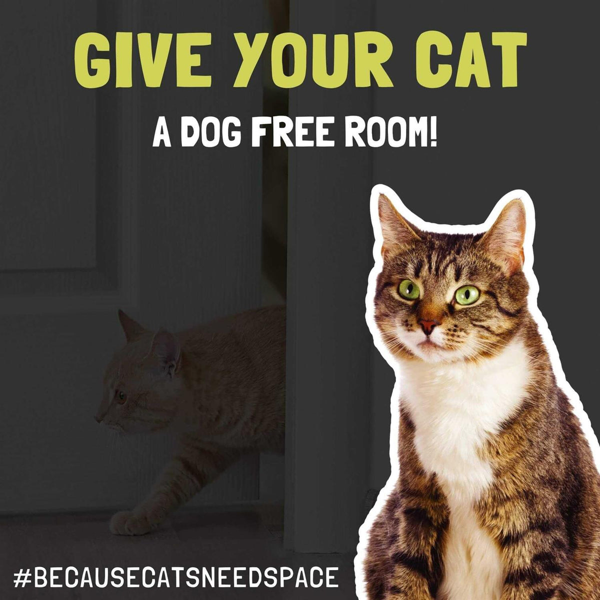 Door Latch Dog Litter Box Cat Door I162839
