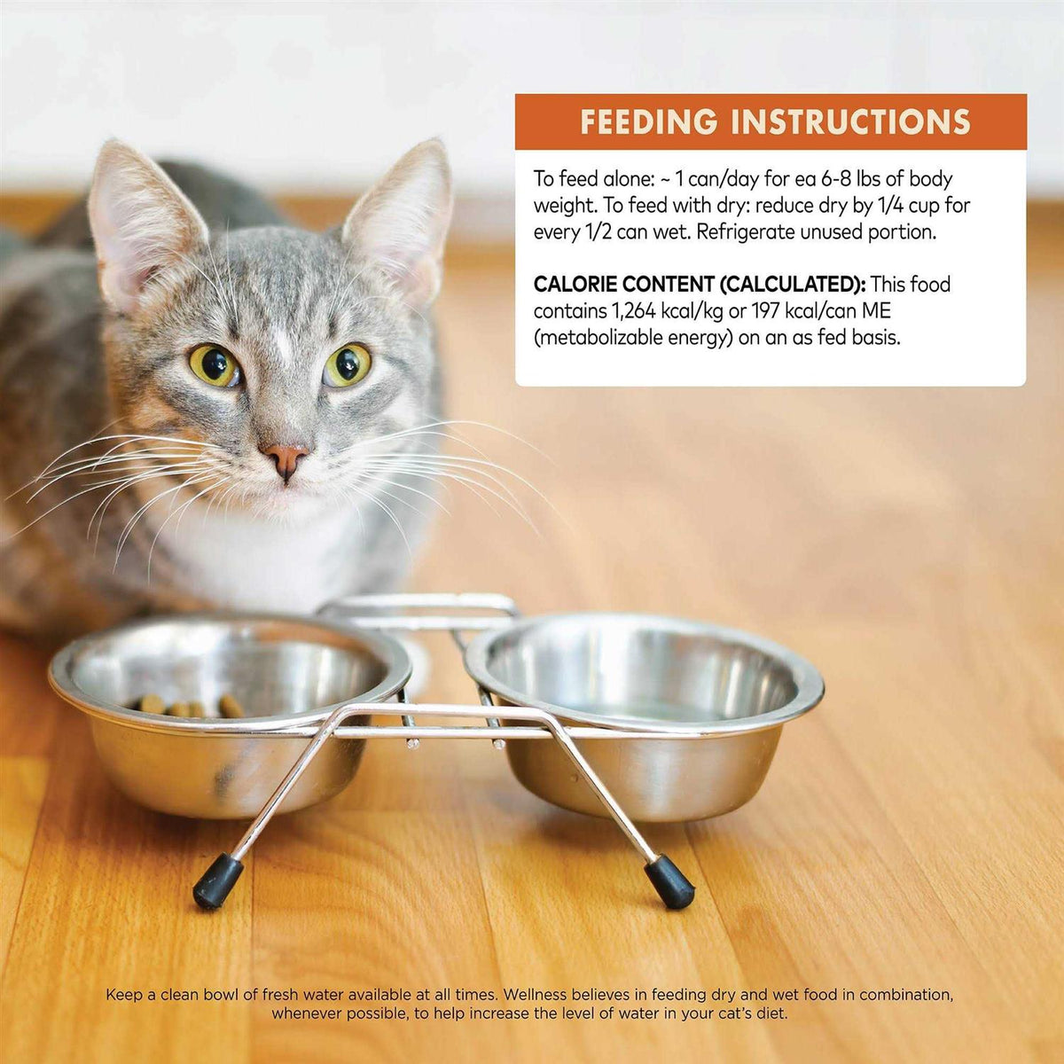 Cat Food B644203
