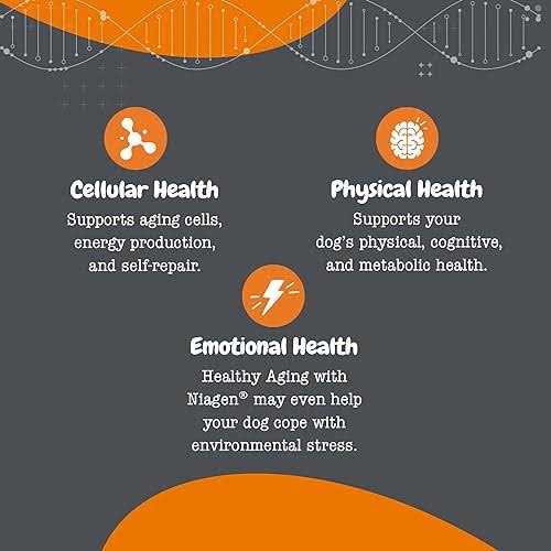 Healthy Aging Cellular Energy O5380