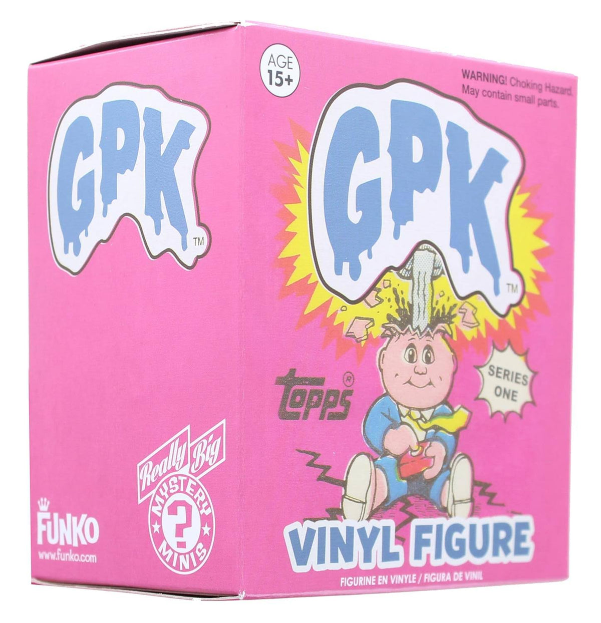 Vinyl Mystery Mini-Figures Case of 12 W694