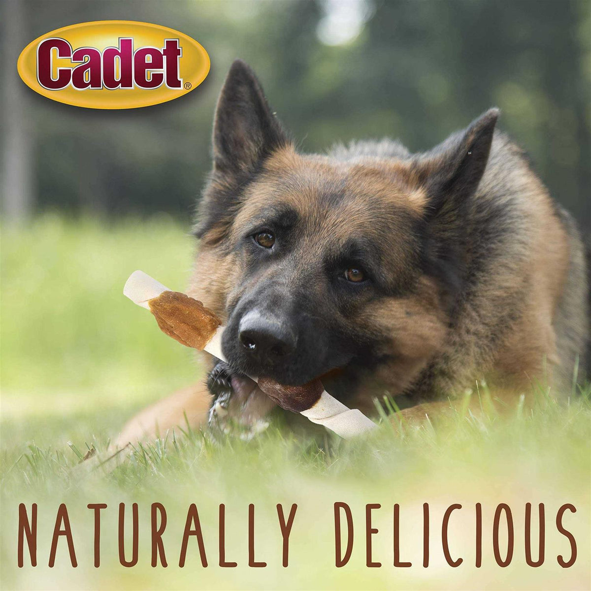 Rawhide Dog Treats W163