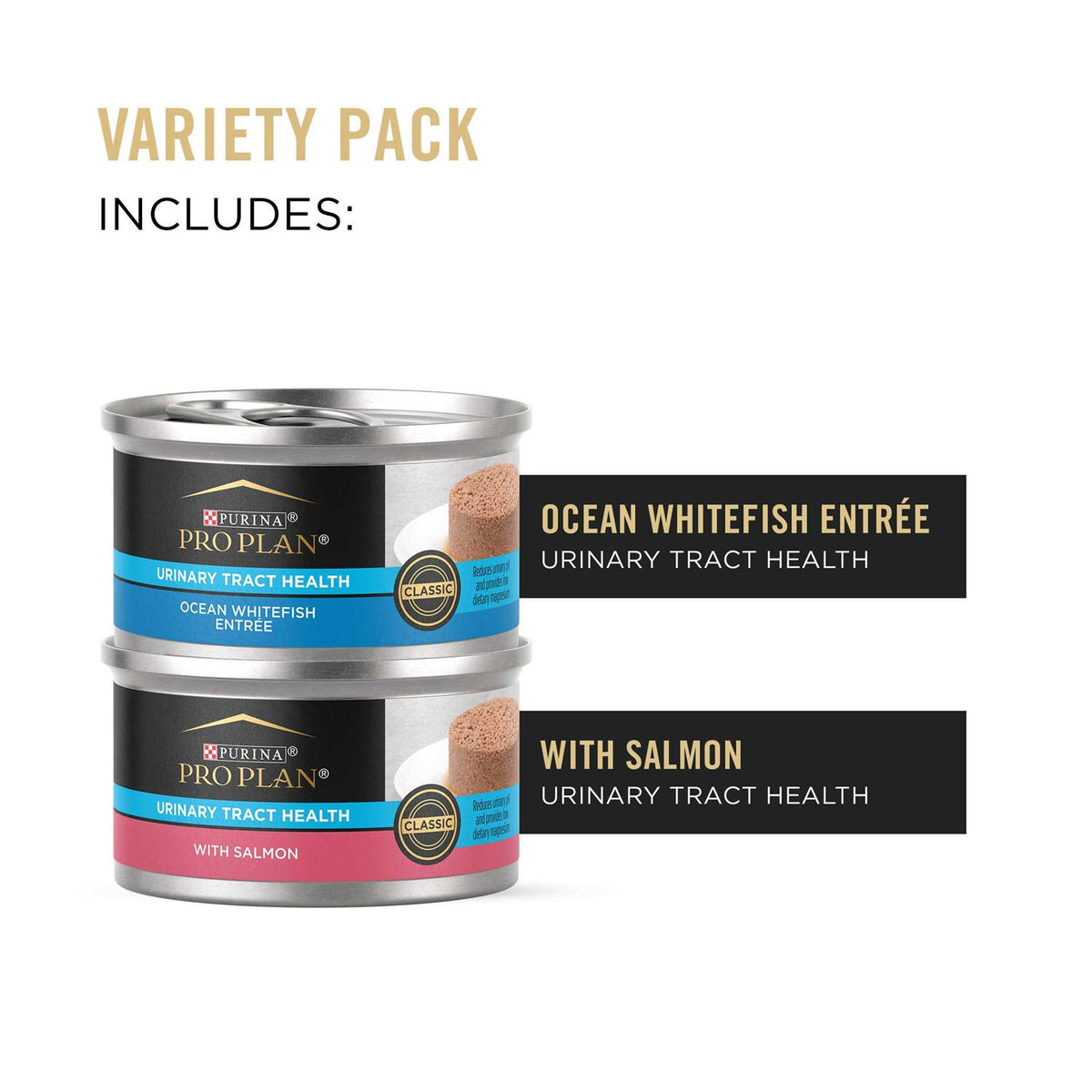 Wet Cat Food K292