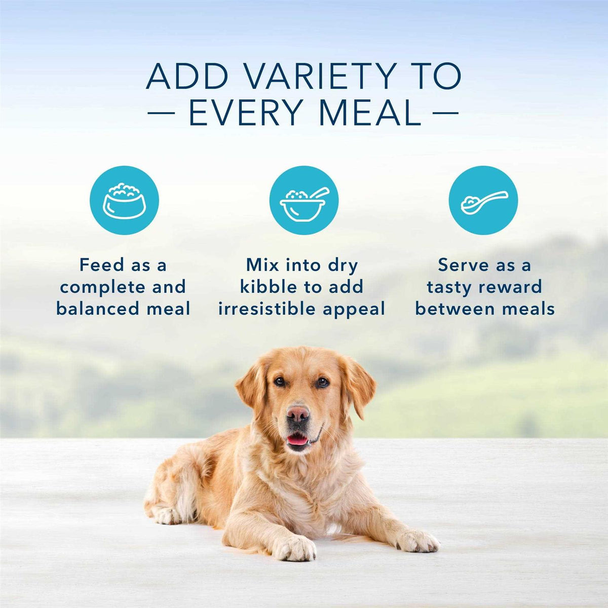 Dog Food T8156