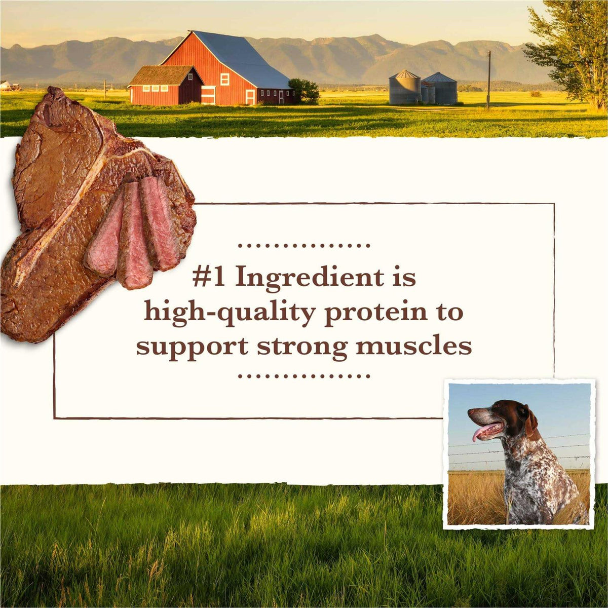 Grain Free Pork Beef & Lamb Recipe Dry Dog Food H93409