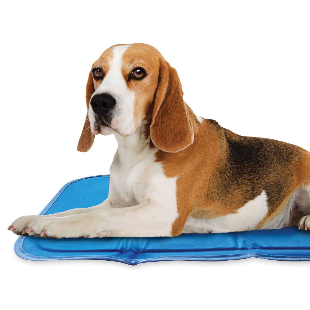 Sage Gray Self Cooling Pet Pad U72636