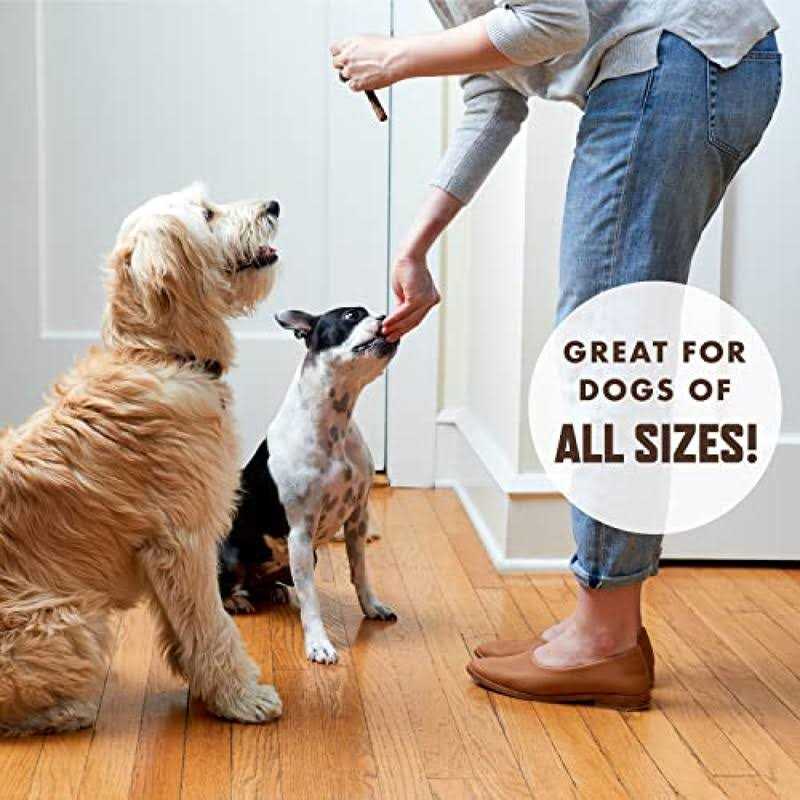 Dog Toy Y4505