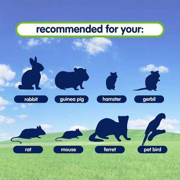 Fresh World Bedding for Small Animals Y771297