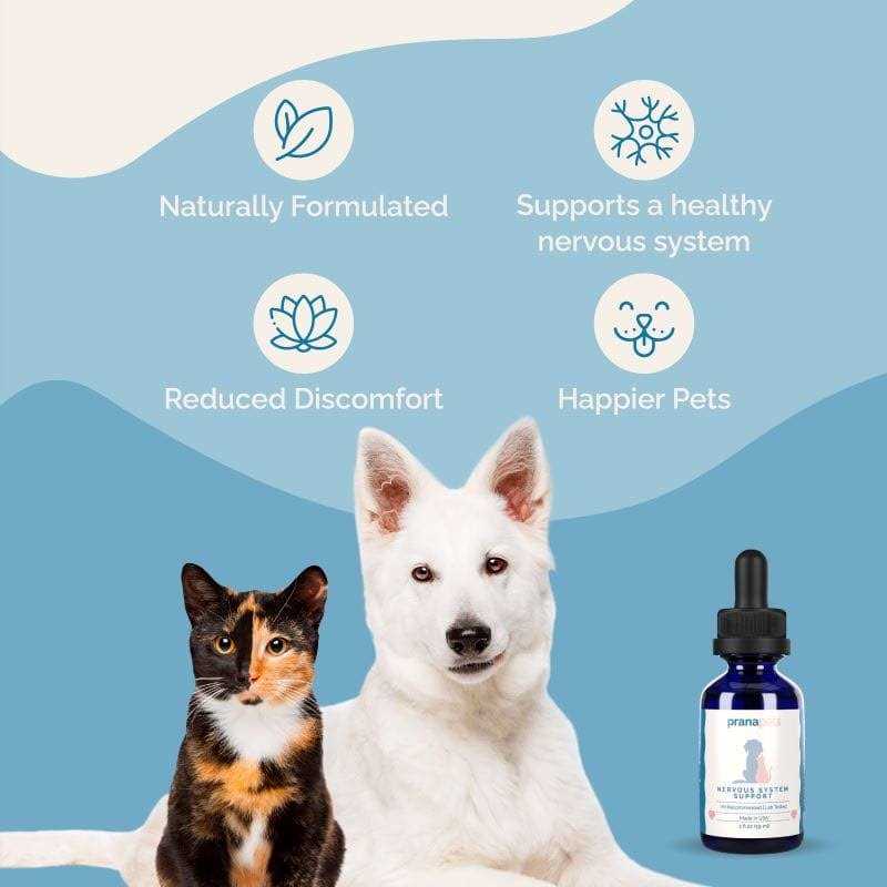 Nervous System Support for Dogs N830471