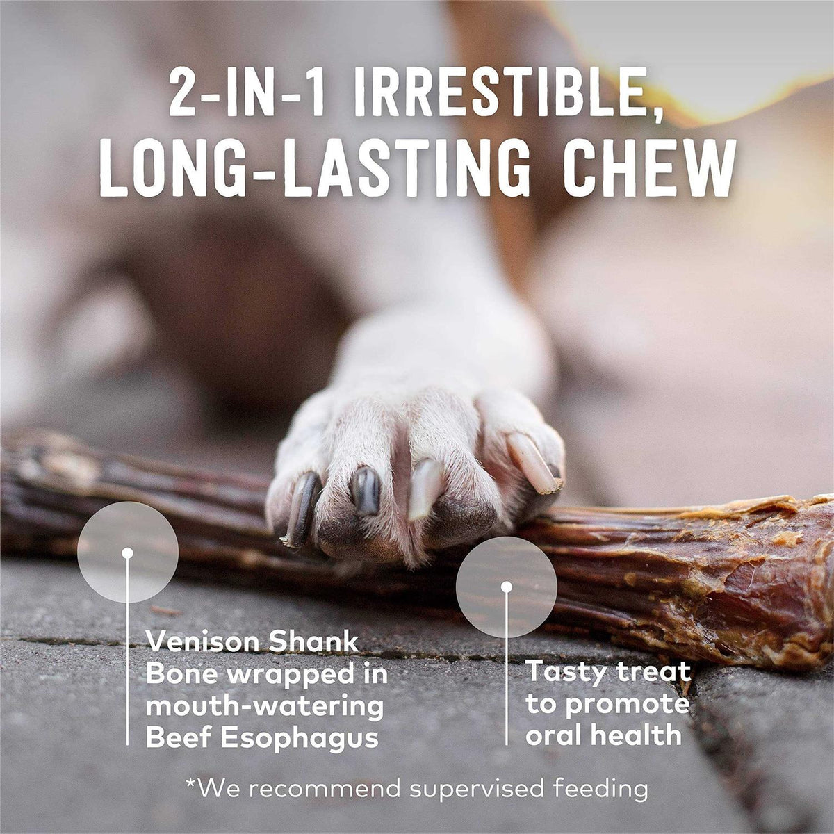 Deer Shank Bone Dog Chew A993