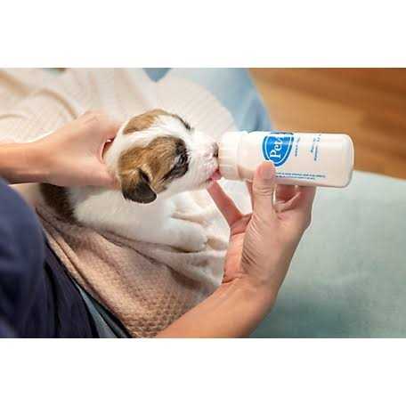 Puppy Liquid Milk Replacement T805