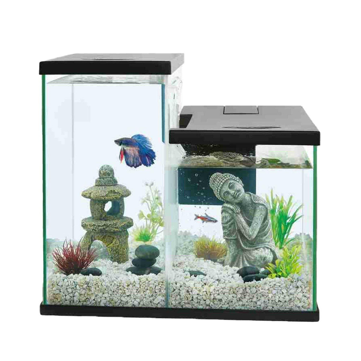 Betta Dual Aquarium Tank V607
