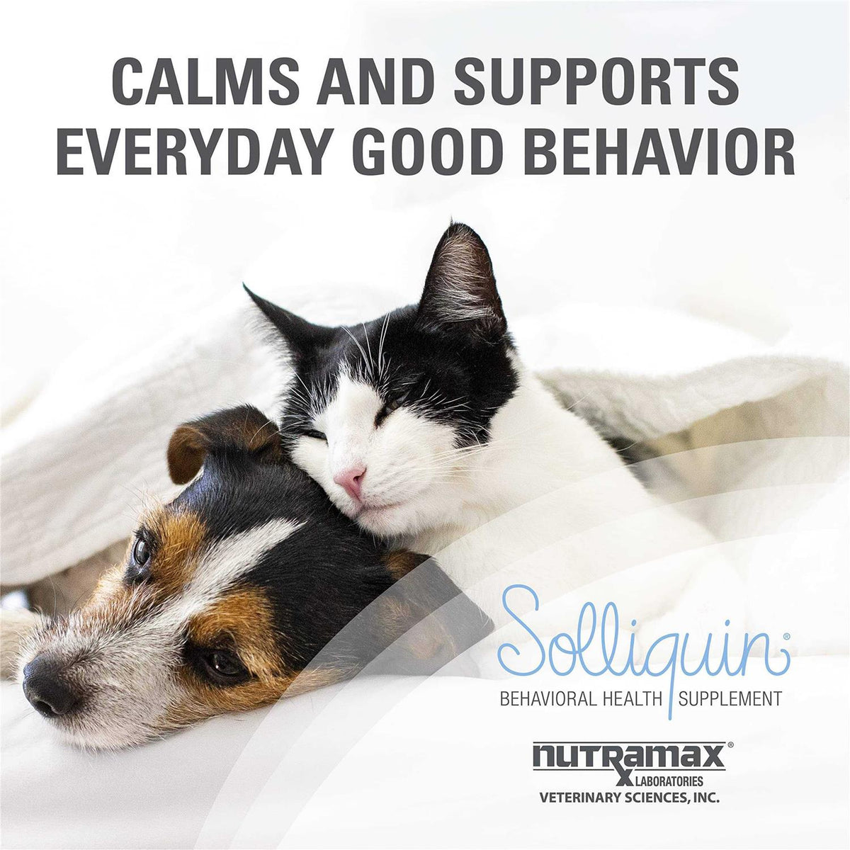 Calming Behavioral Health Supplement for Dogs and Cats X760
