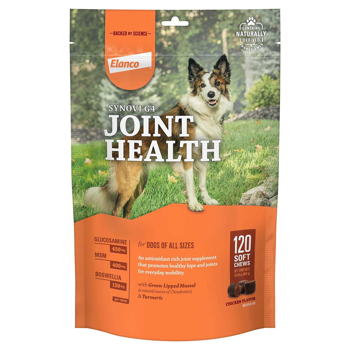 Joint Supplement Soft Chews for Dogs A35039