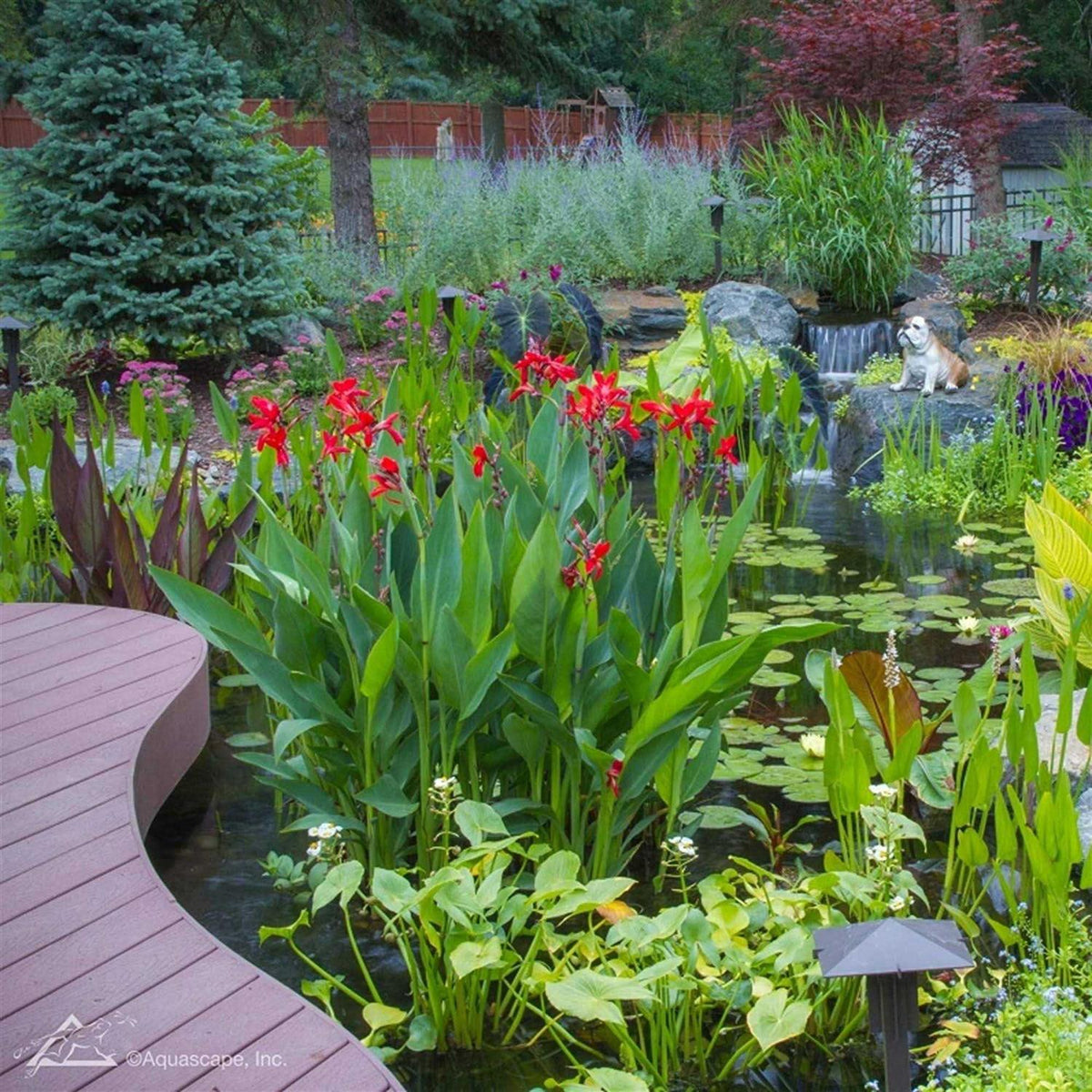 Pond Plant Potting Media T39651