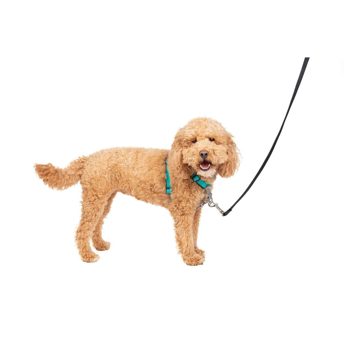 3 in 1 Harness I27500