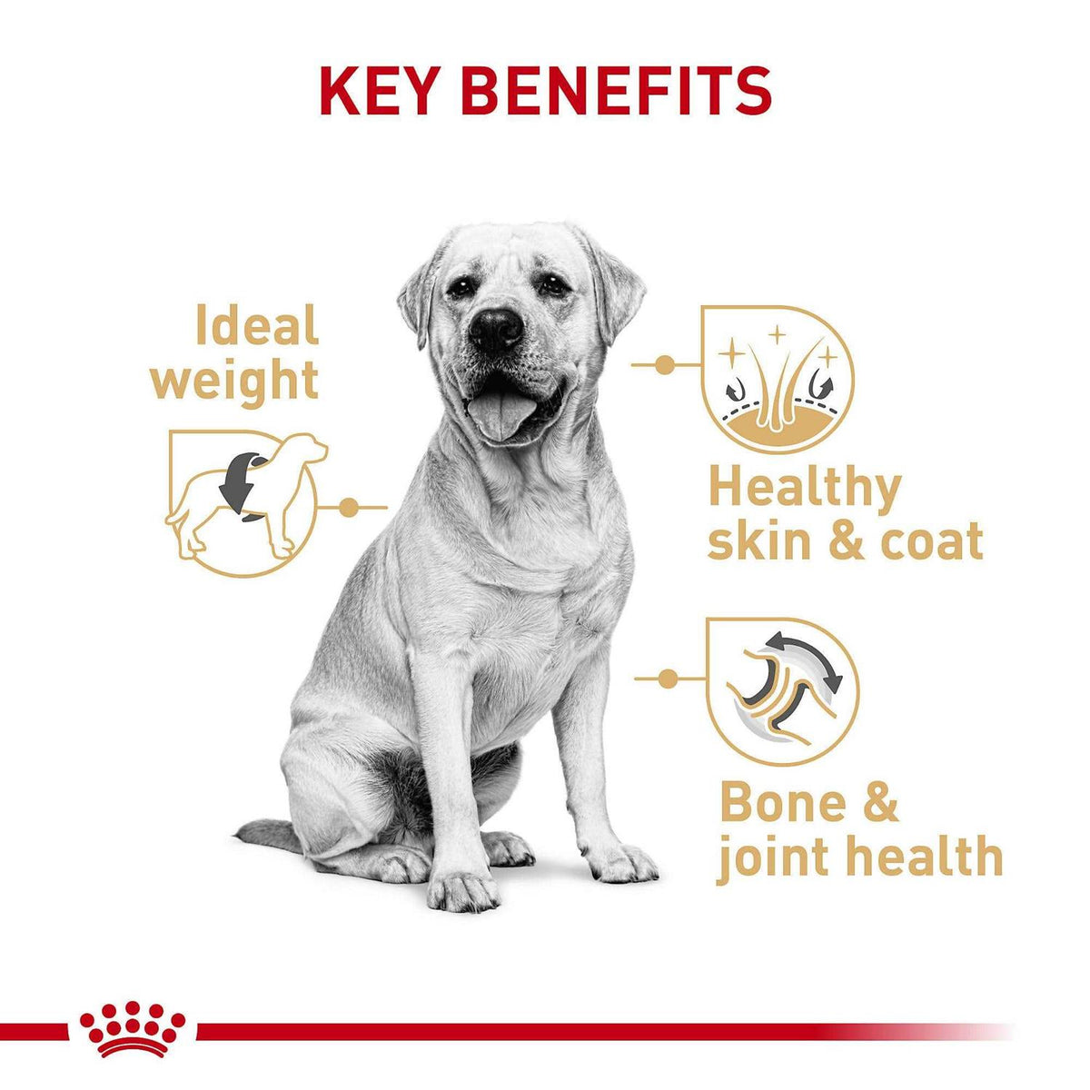 Adult Dry Dog Food Q14465