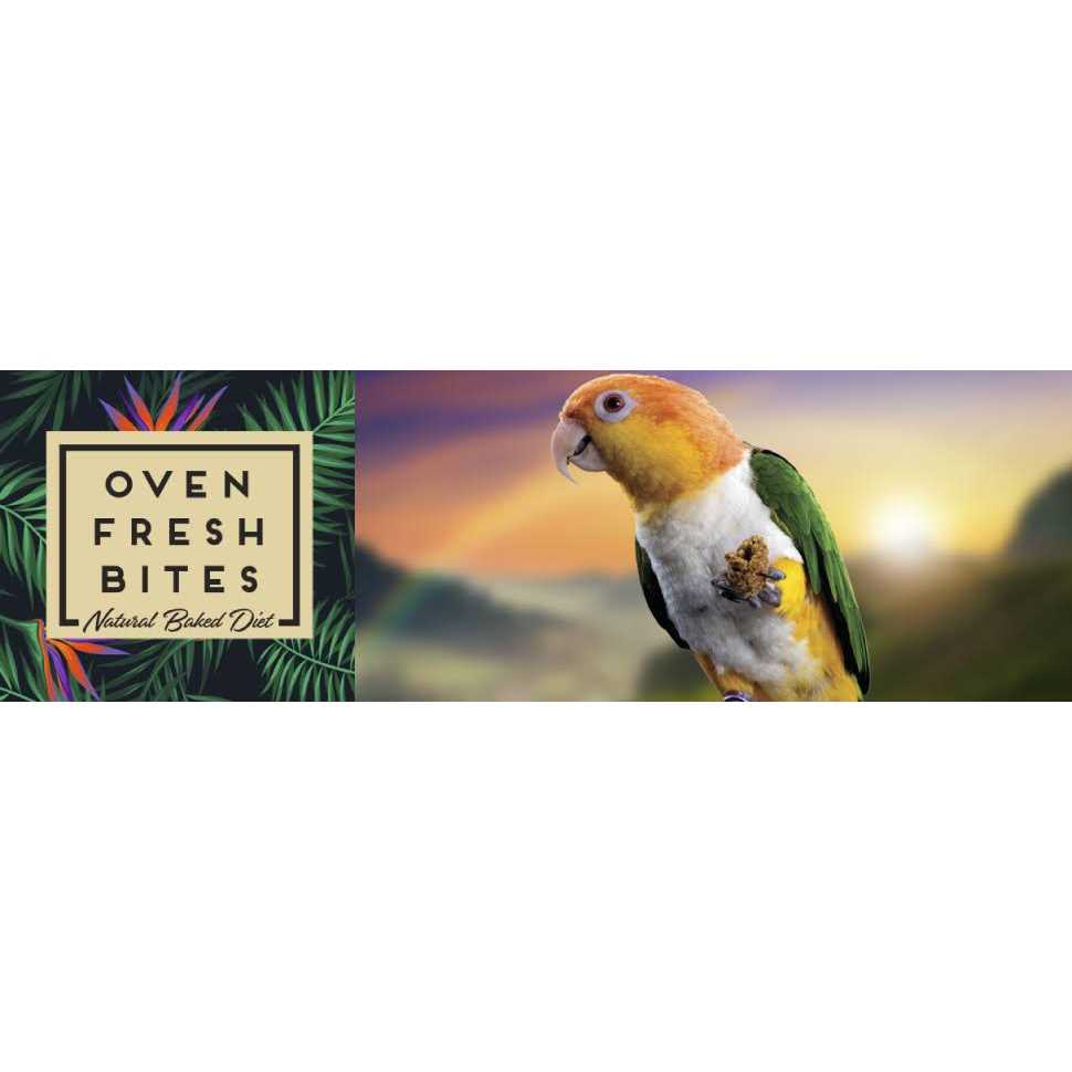 Oven Fresh Bites Medium N5364