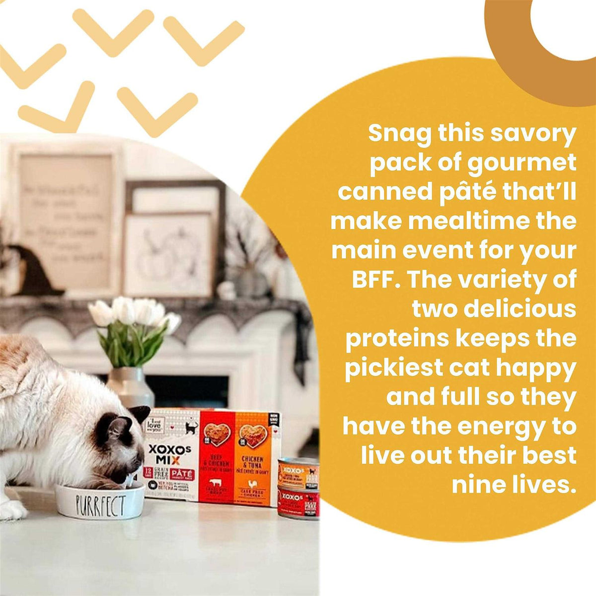 Tuna Pate Cat Food M947