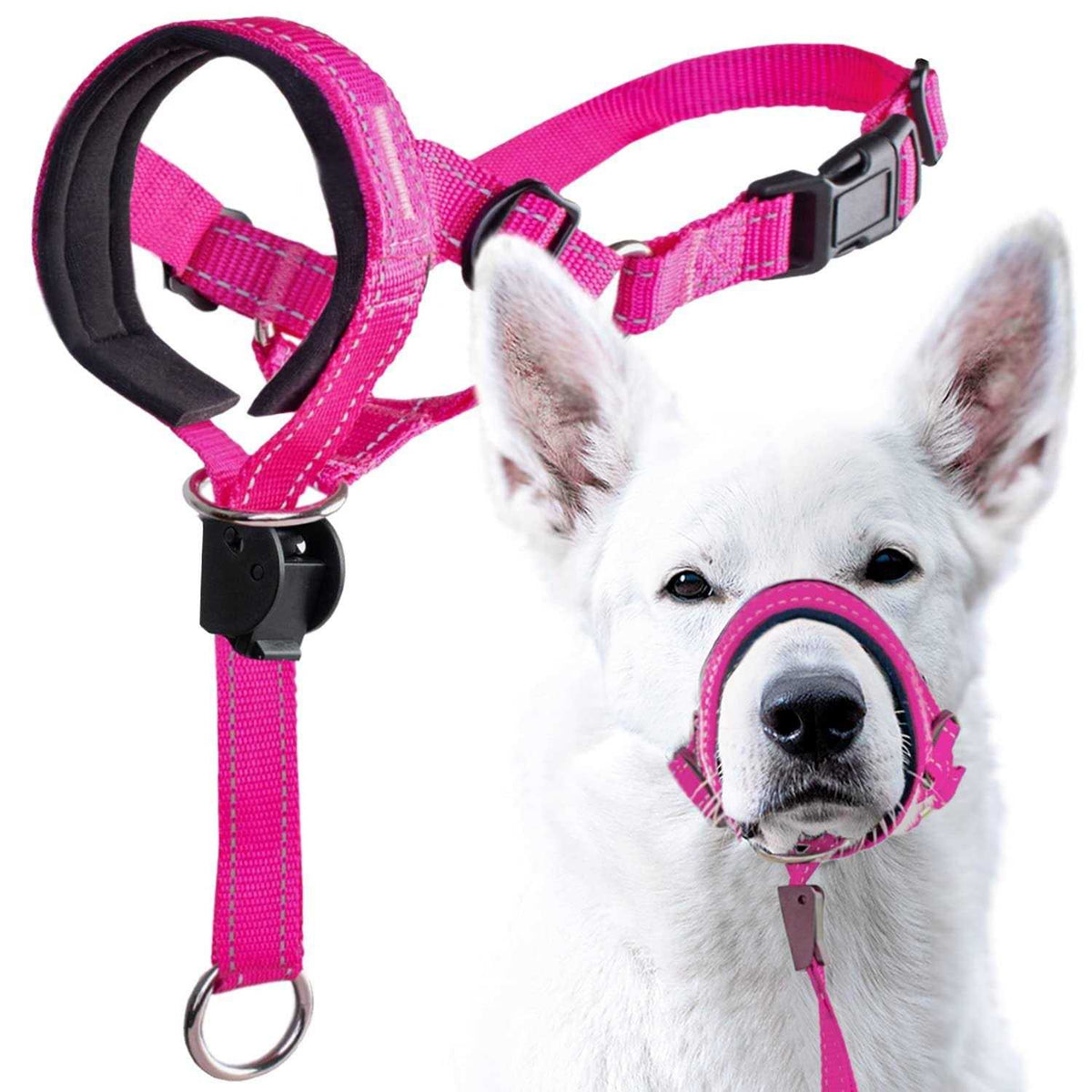 Dog Head Halter with Safety Strap Z29159