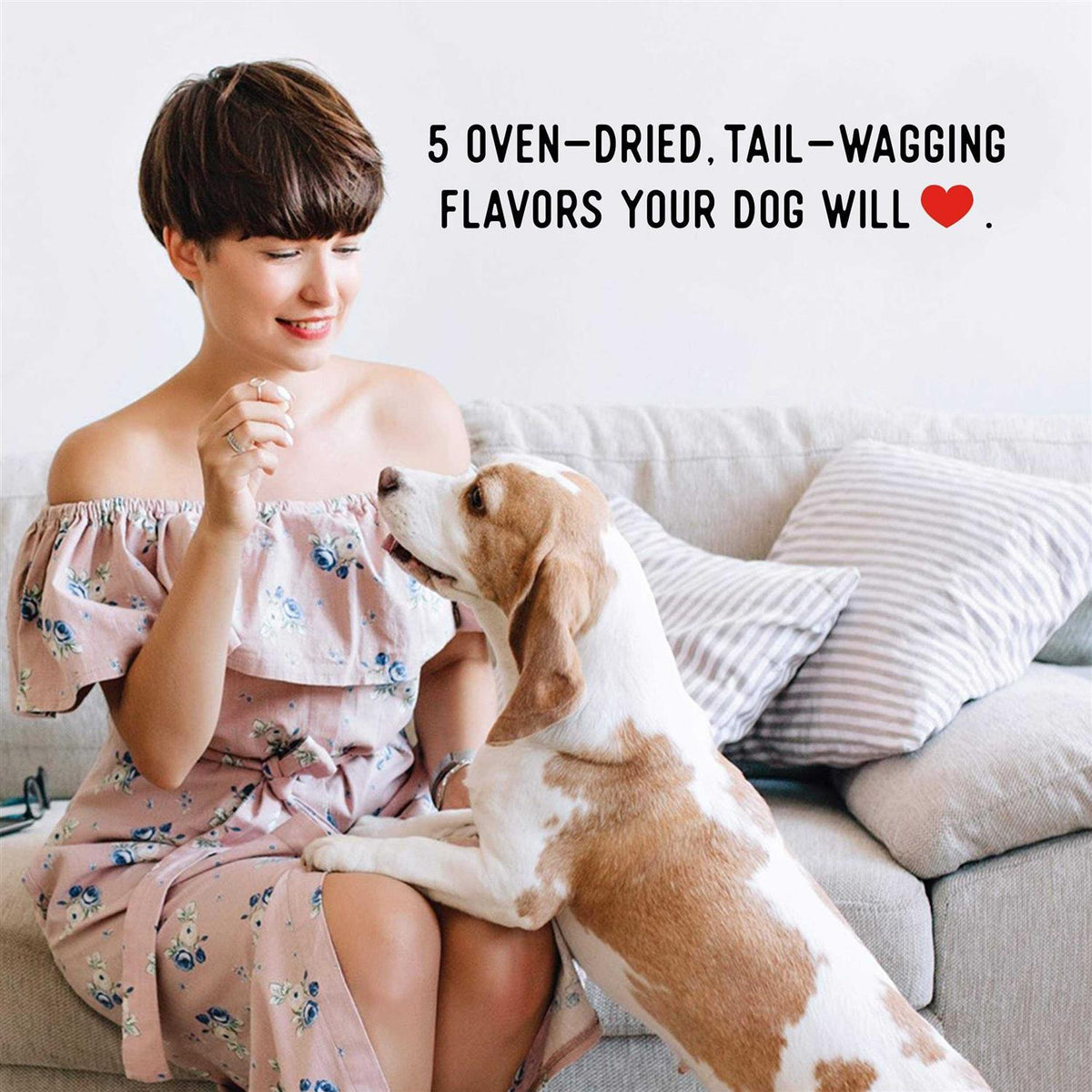 Beef Jerky Dog Treats K13989