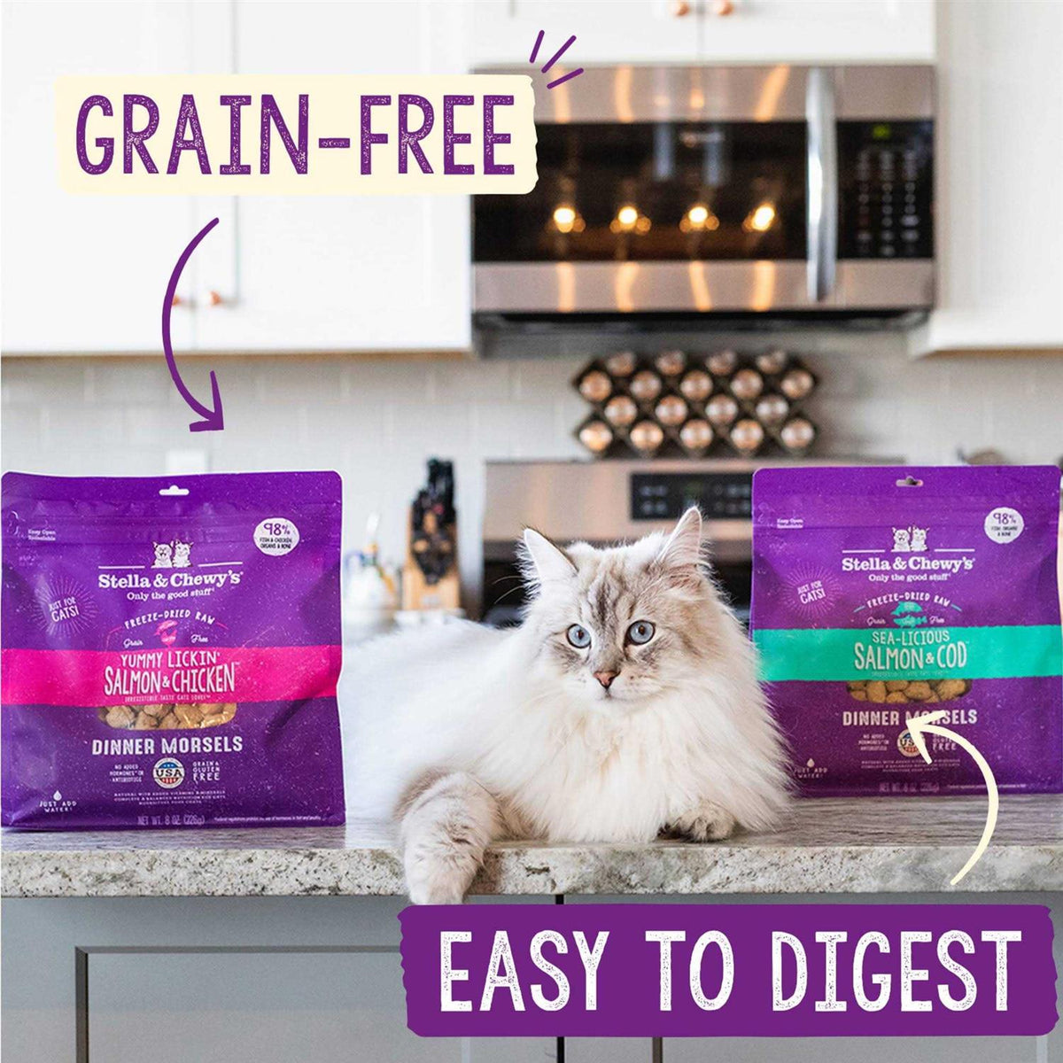 Salmon Chicken Freeze-Dried Cat Food S503