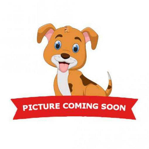 15ft XXL Dog Tie-Out H2232