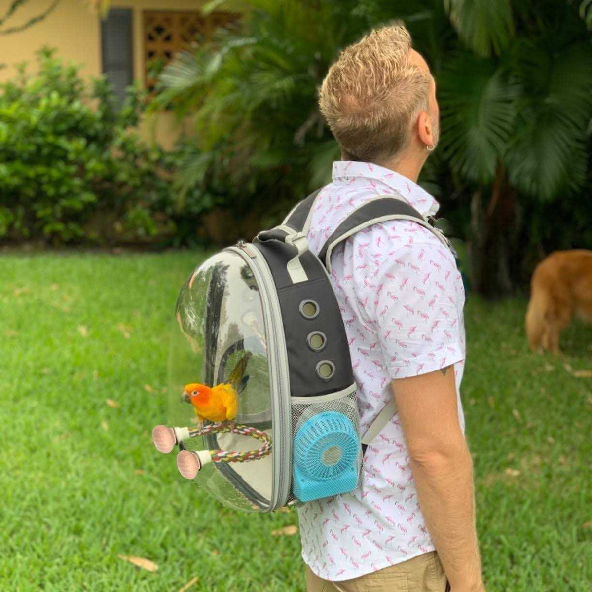 Bird Carrier Backpack with Stainless Steel Tray and Standing Perch W419
