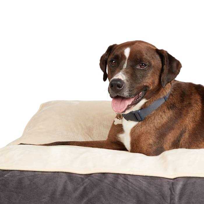 Dog Bed A240
