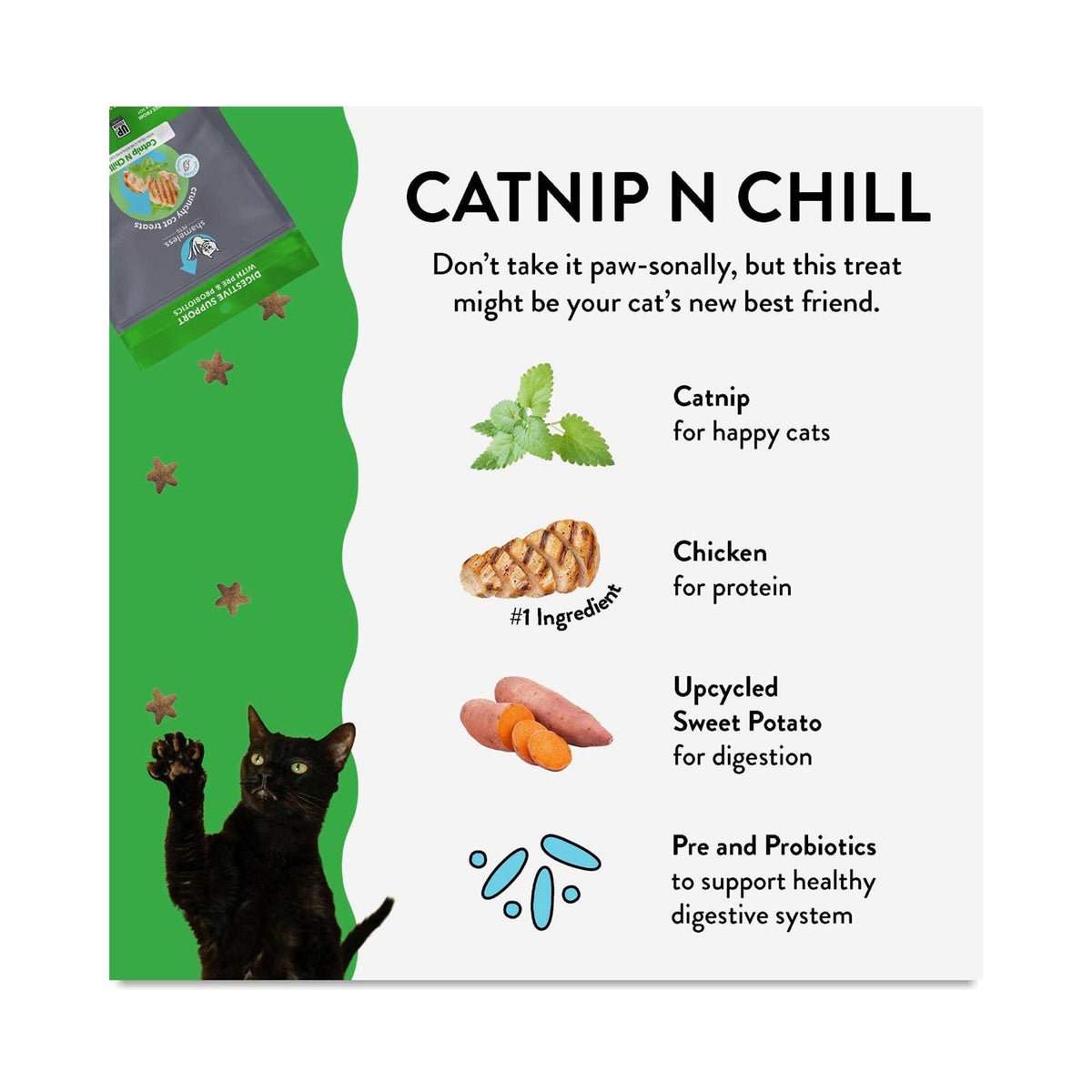 Crunchy Cat Treats H27009