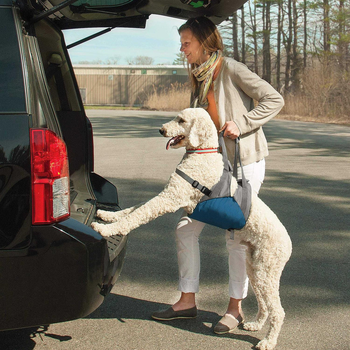Dog Lifter S963632