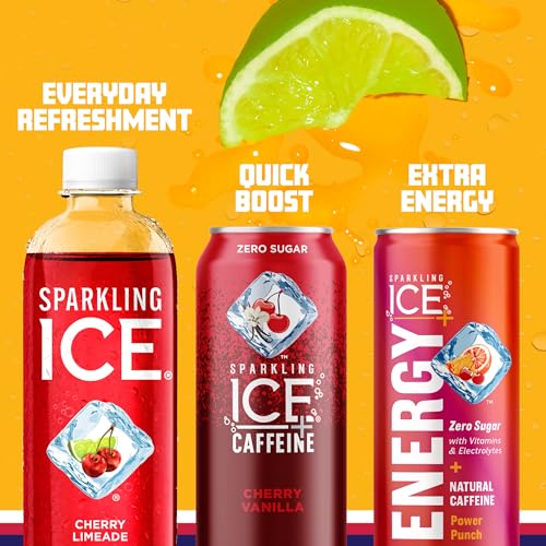 Black Raspberry Sparkling Water 17 fl oz Bottles (Pack of 12) B28092