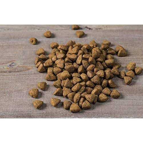 Small Breed Dry Dog Food Turkey J6761
