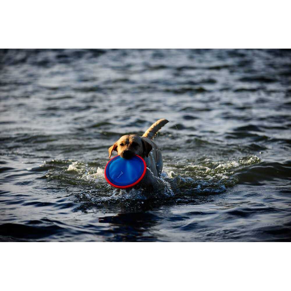 Dog Toy K9454