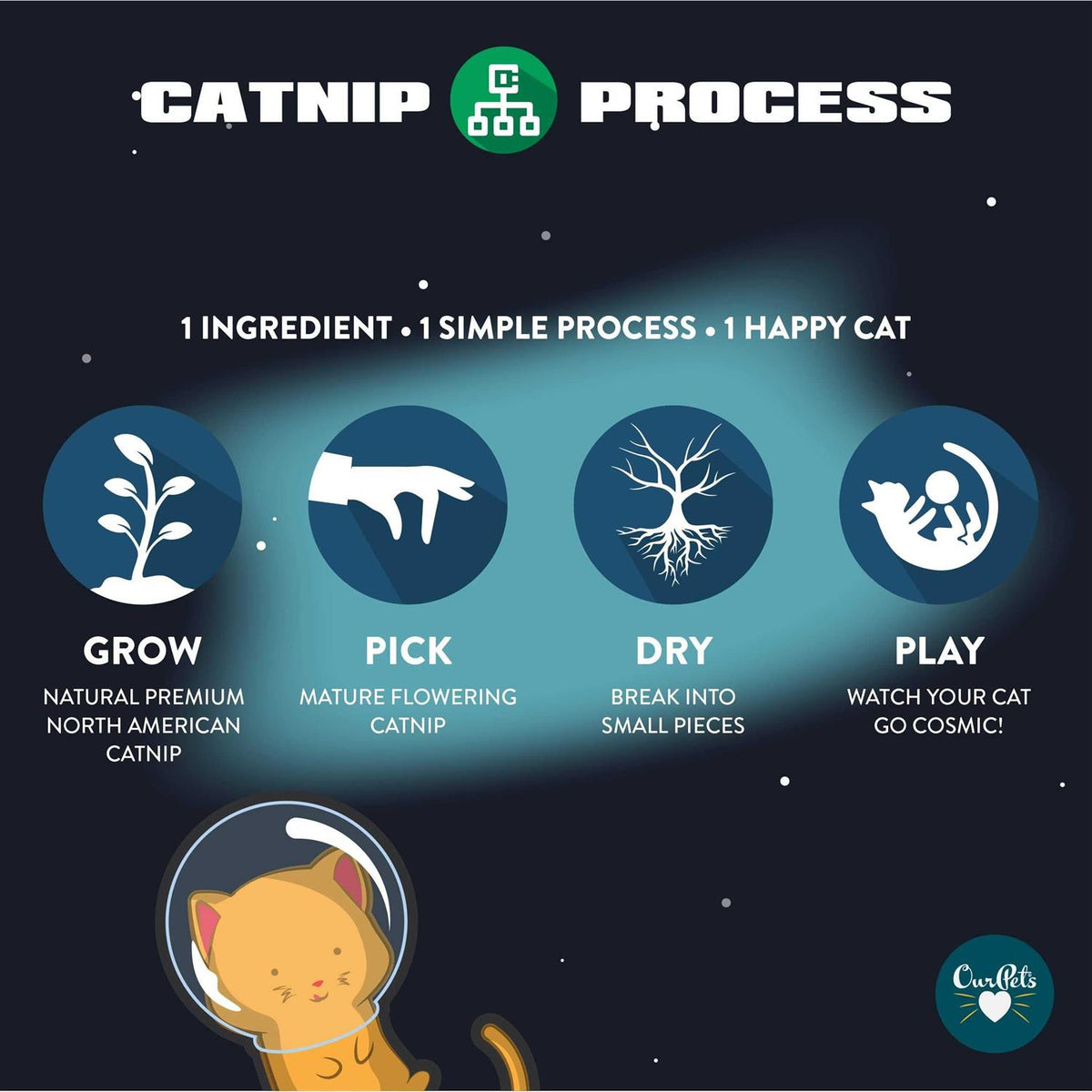 Catnip O81554