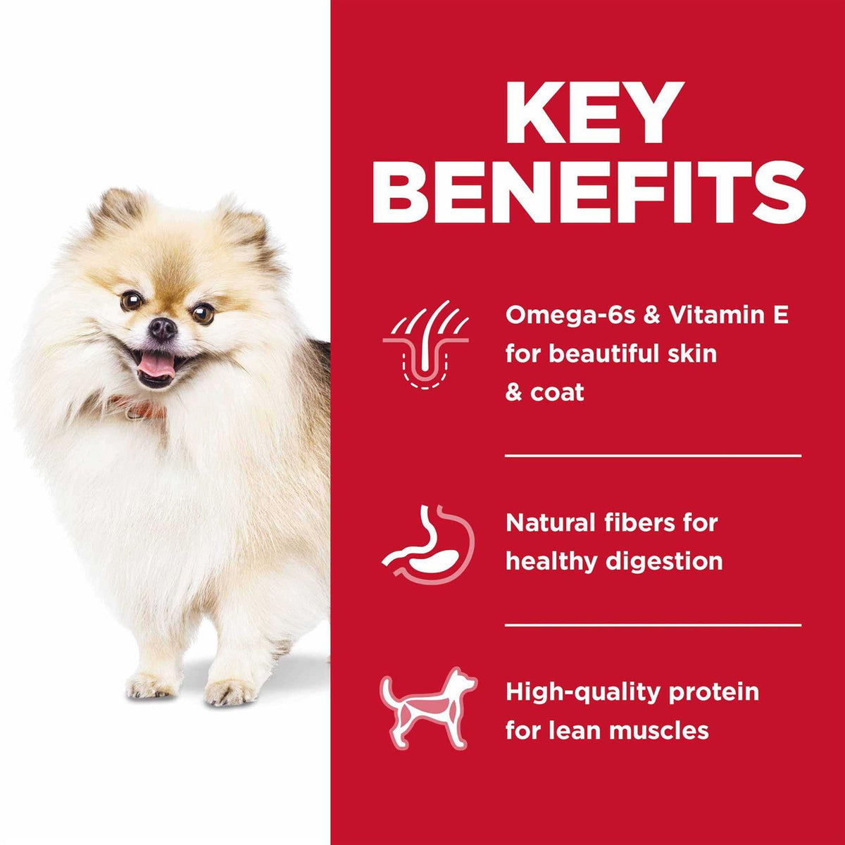 Dry Dog Food D548540