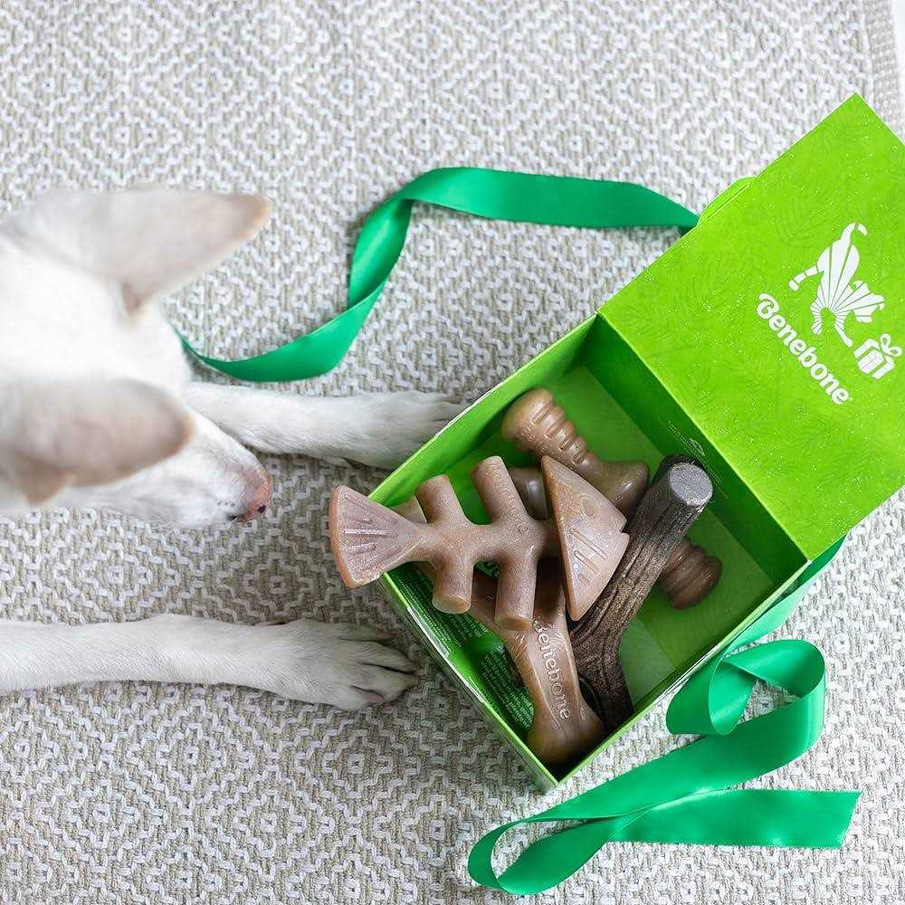 Dog Chew Toy 4 Pack L61585