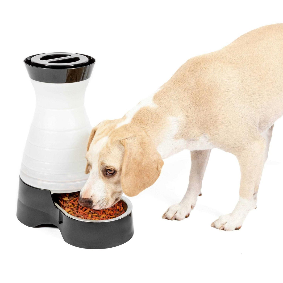 Healthy Pet Food Station Y95405