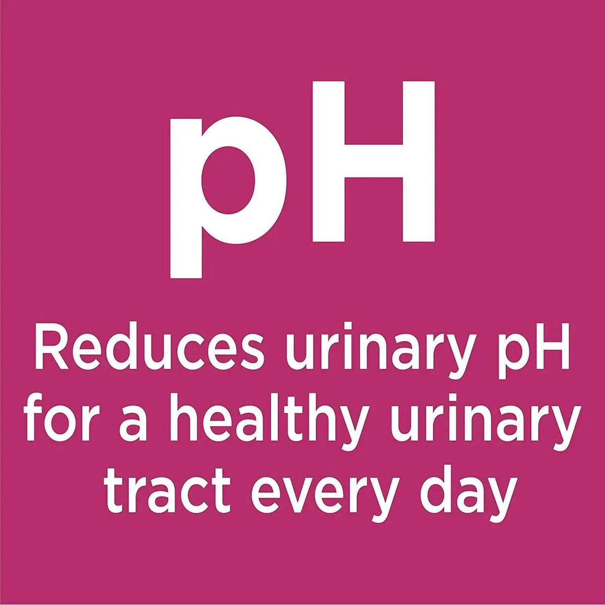 Chicken Adult Urinary Tract Dry Cat Food A3504