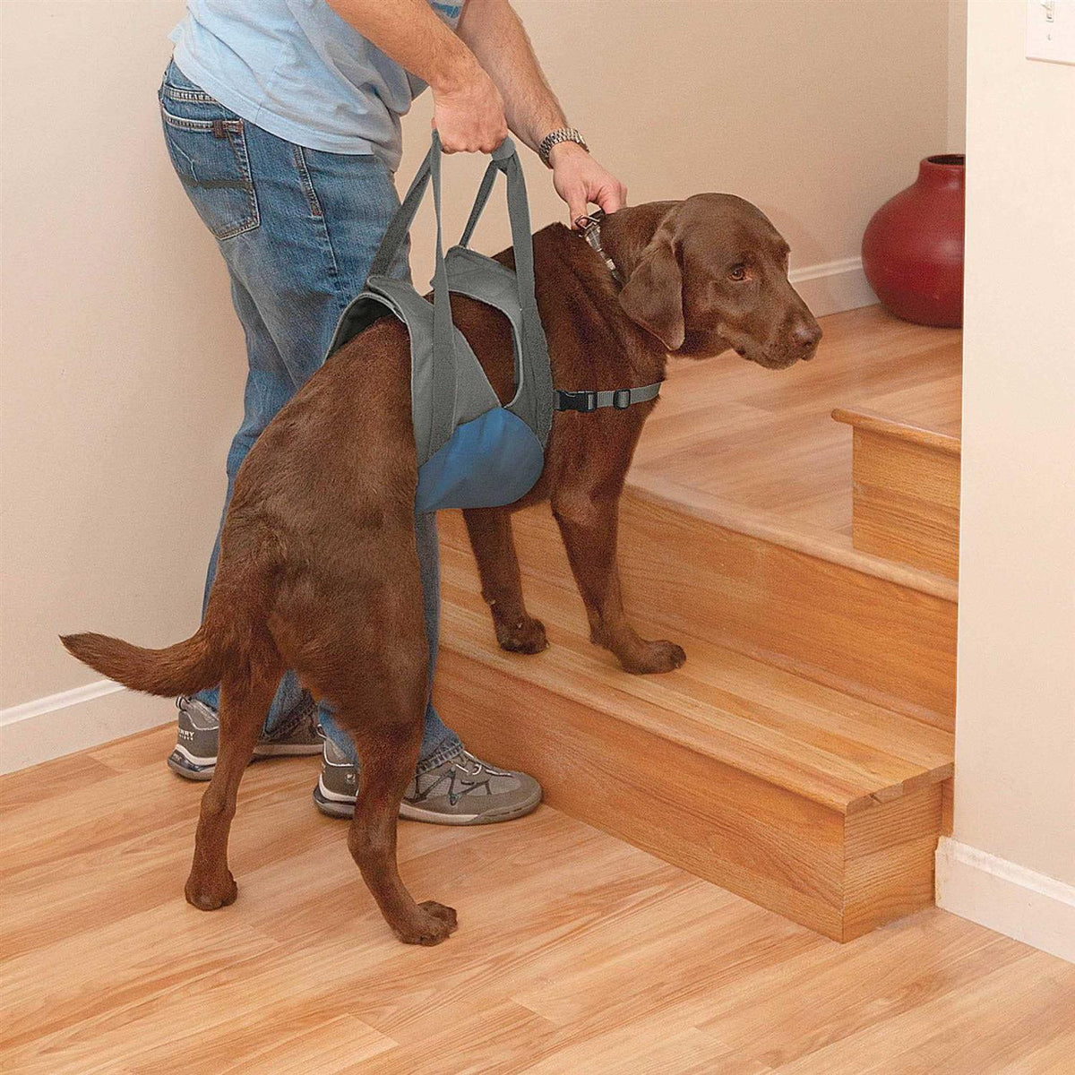 Dog Lifter S963632