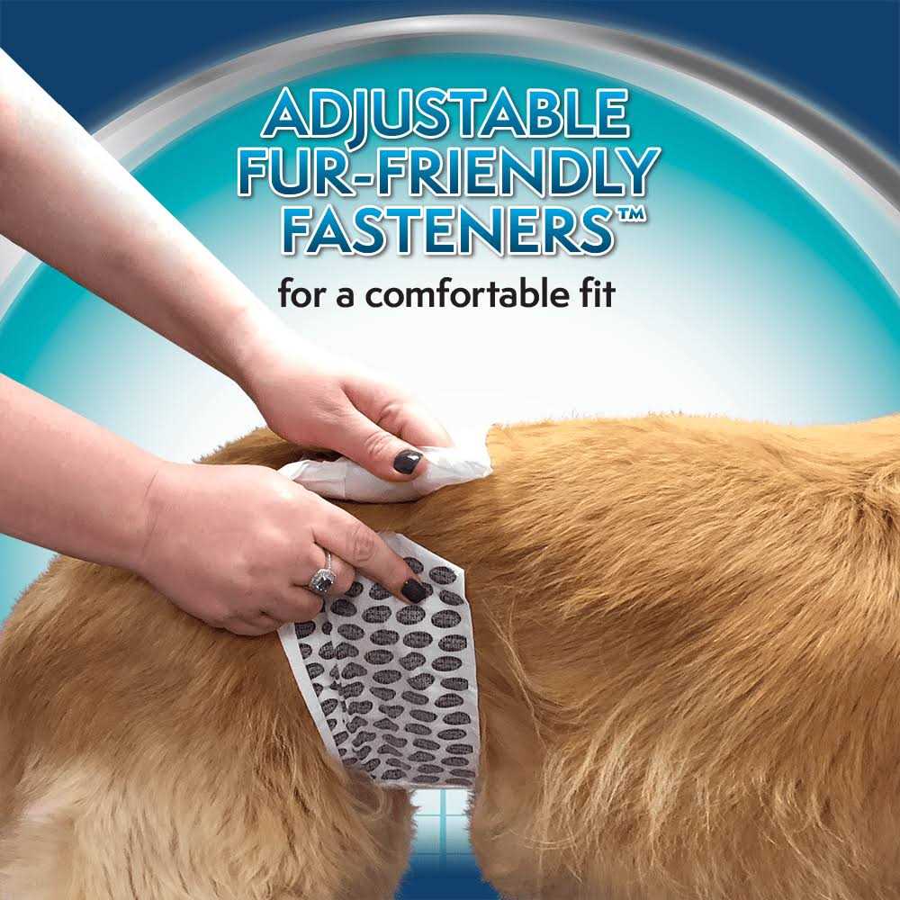 Disposable Male Wraps H373320