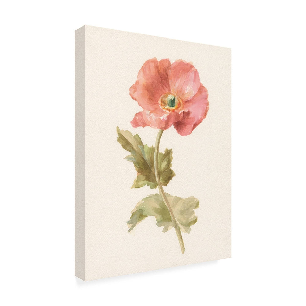 Canvas W58271