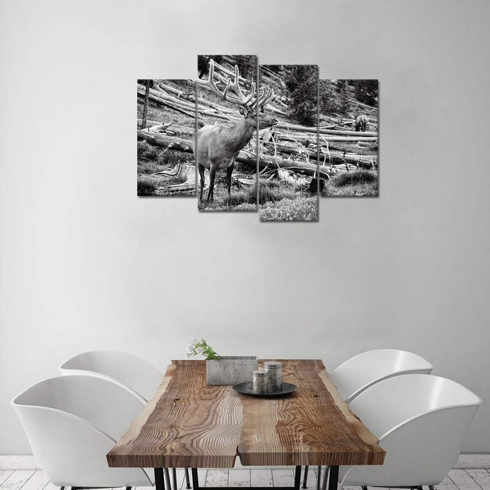 Black and White Deer Canvas Wall Art 4 Pieces P328