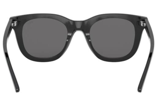 Sunglasses 50 mm A2089