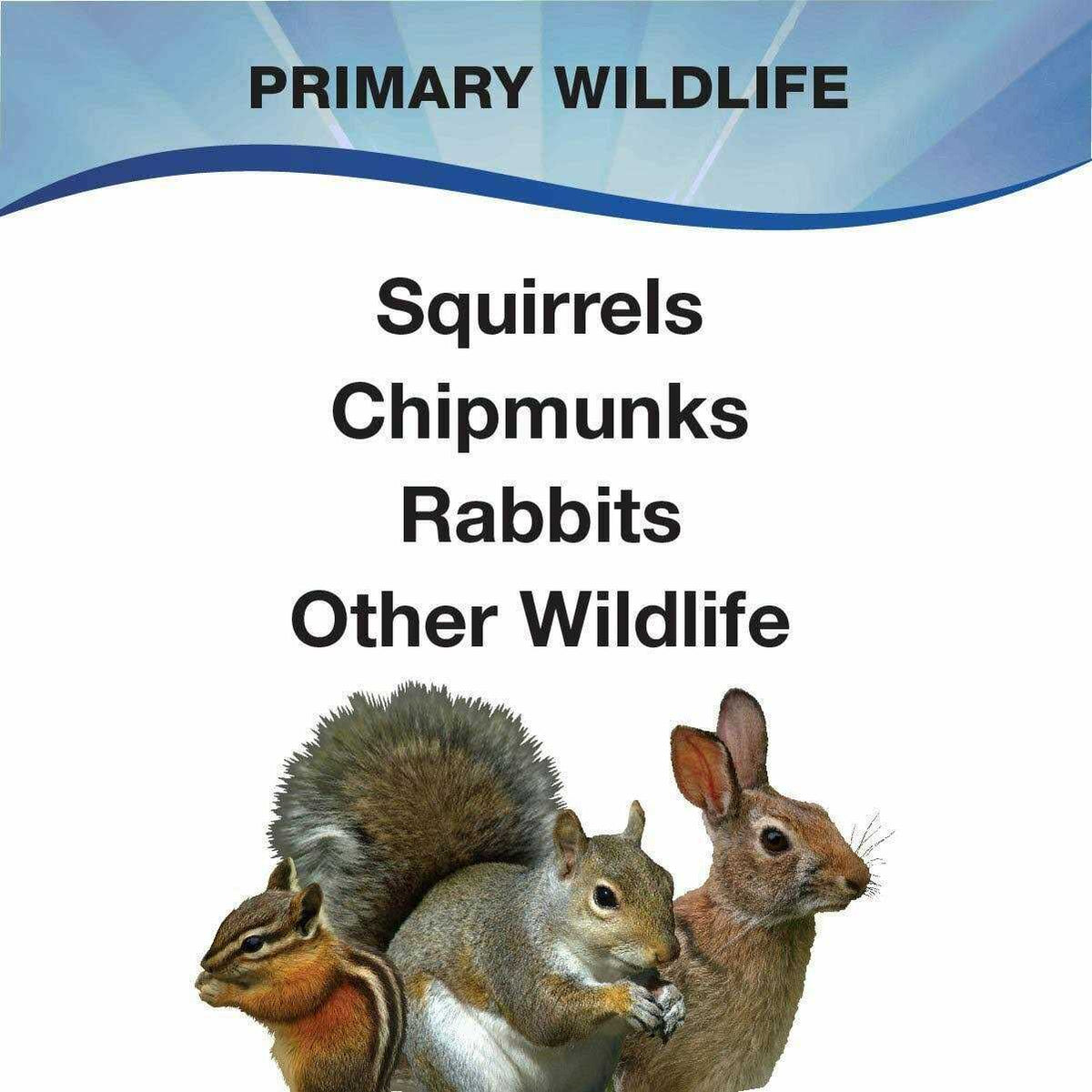 Squirrel and Wildlife Food J886625